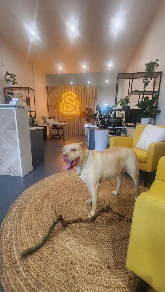 dog2
