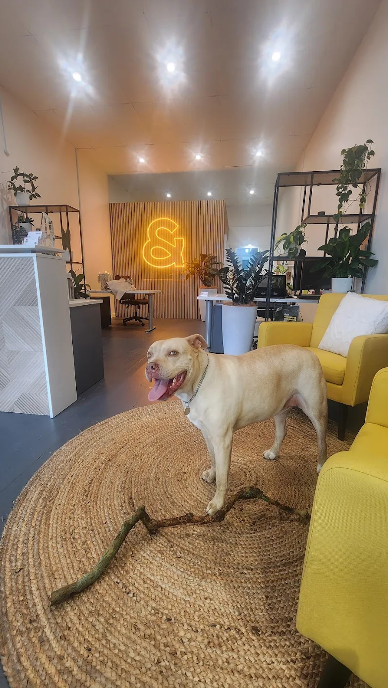 dog2